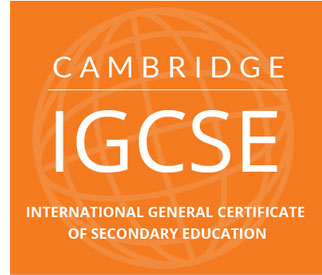 Igcse english second language image